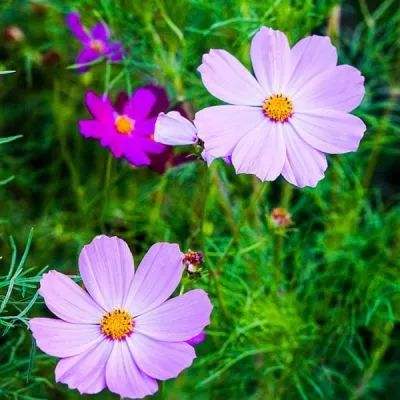 乐动体育app全站下载